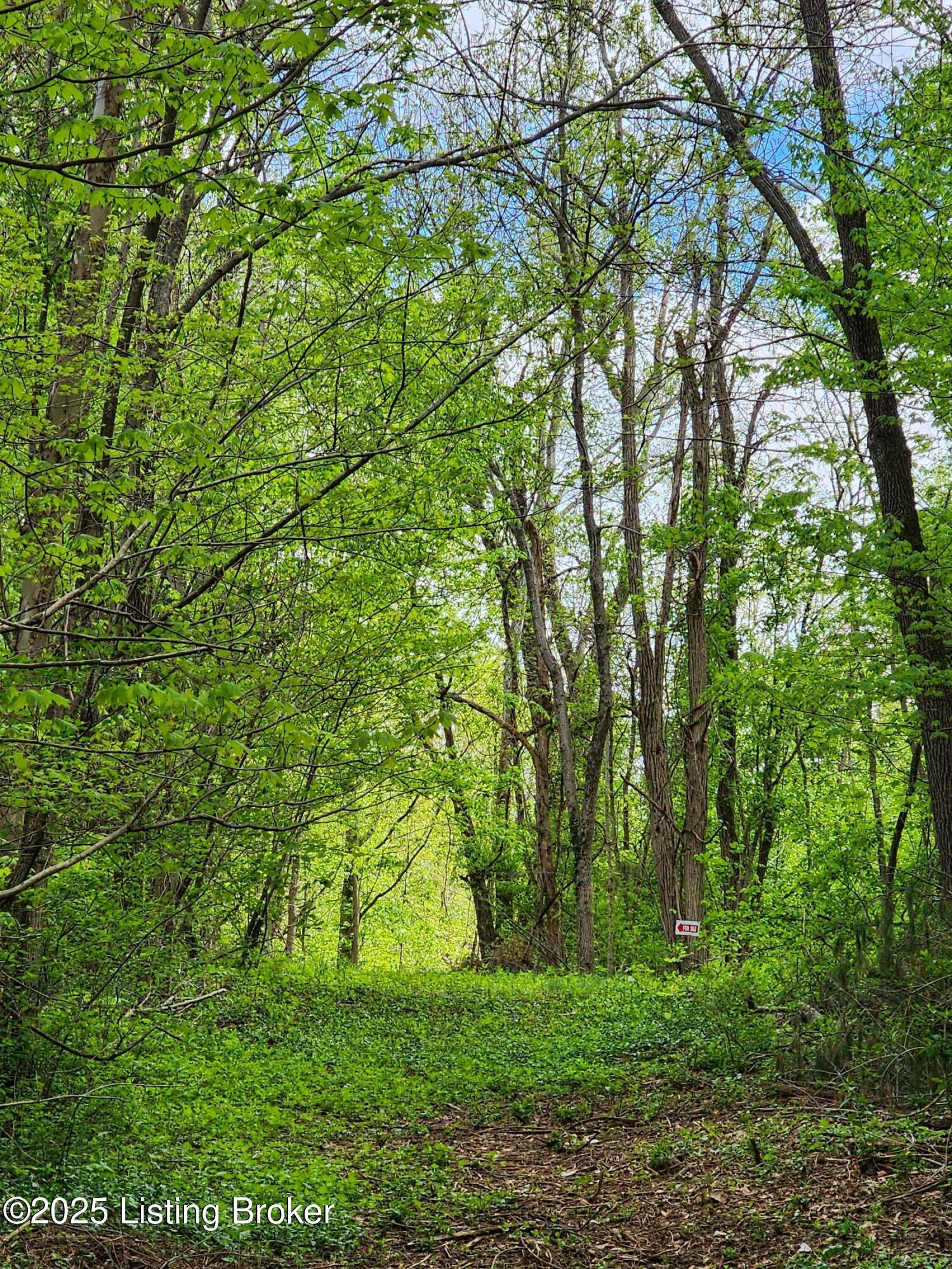 0000 Rineyville Big Springs Rd, Rineyville, Kentucky image 11