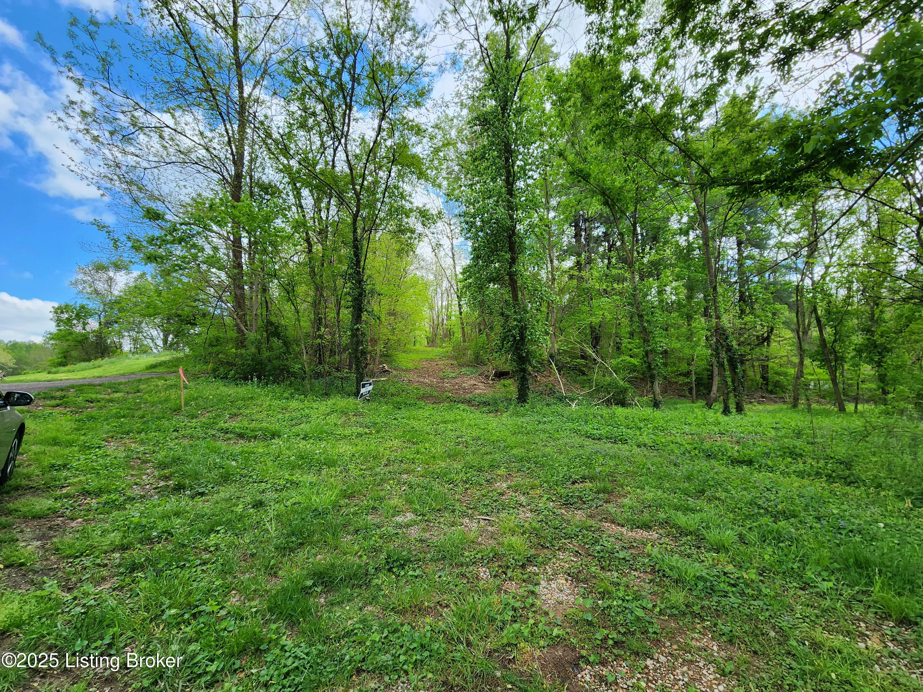 0000 Rineyville Big Springs Rd, Rineyville, Kentucky image 4