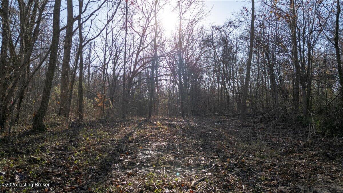 0000 Rineyville Big Springs Rd, Rineyville, Kentucky image 7