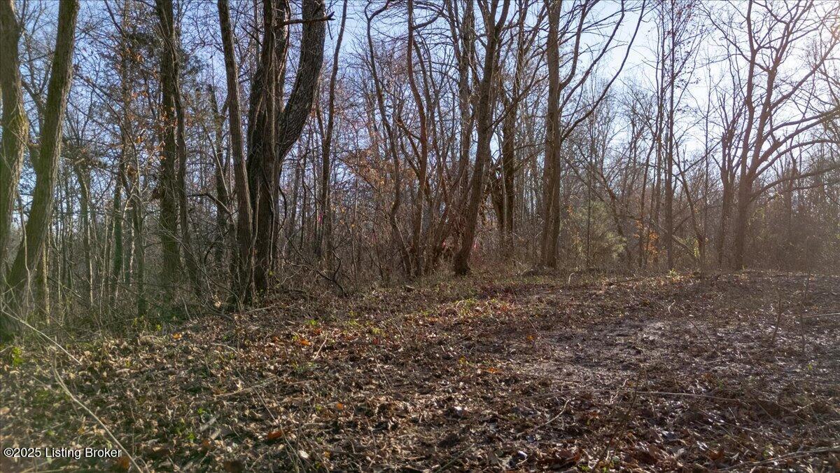 0000 Rineyville Big Springs Rd, Rineyville, Kentucky image 4