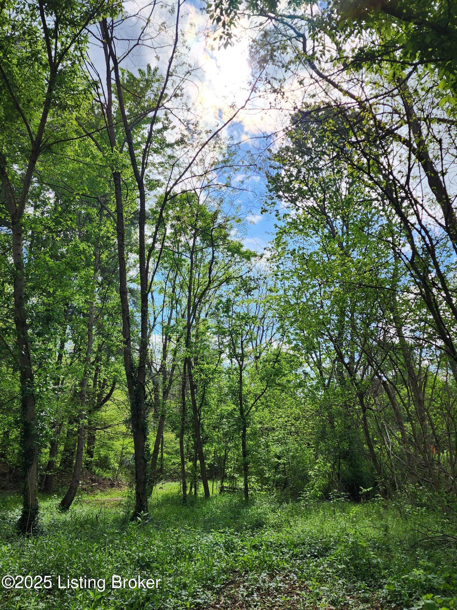 0000 Rineyville Big Springs Rd, Rineyville, Kentucky image 13