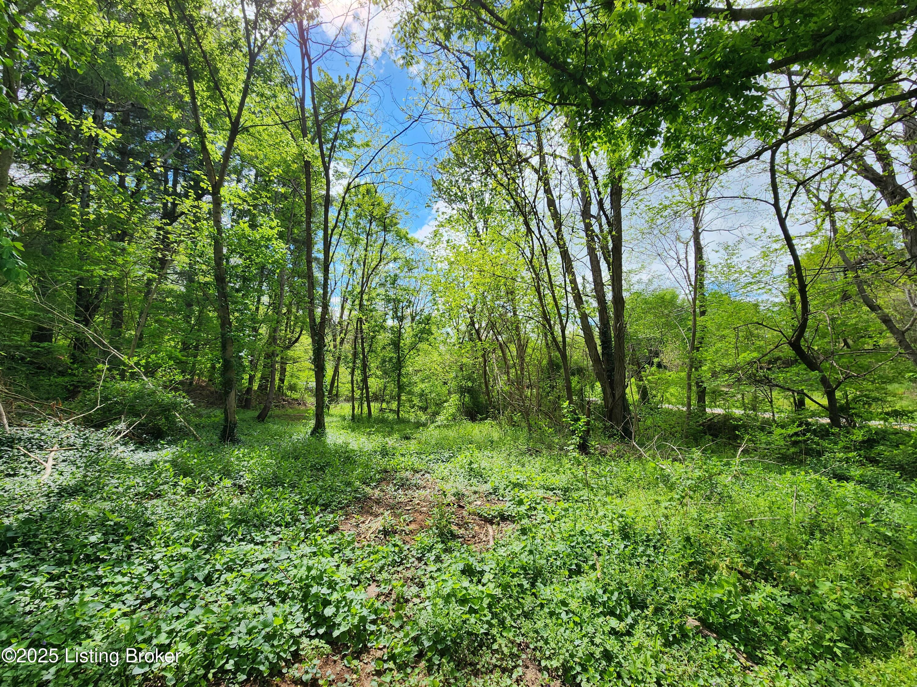 0000 Rineyville Big Springs Rd, Rineyville, Kentucky image 14