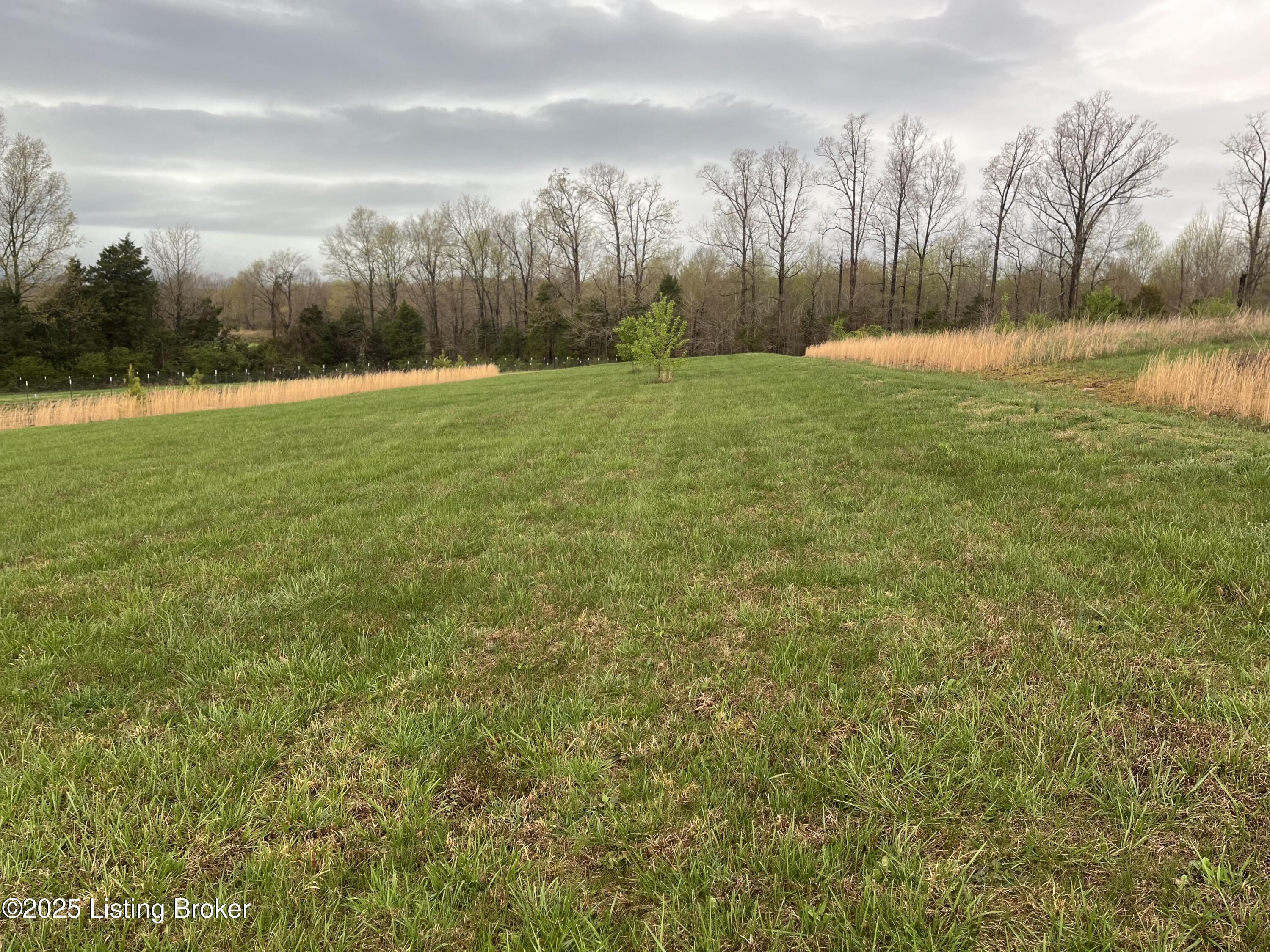 211 Segal Rd, Brownsville, Kentucky image 9