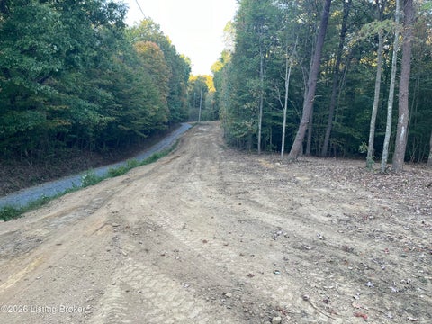 Vacant Land For Sale - 0012 Wildwood Ln<br/> Caneyville, KY 42721