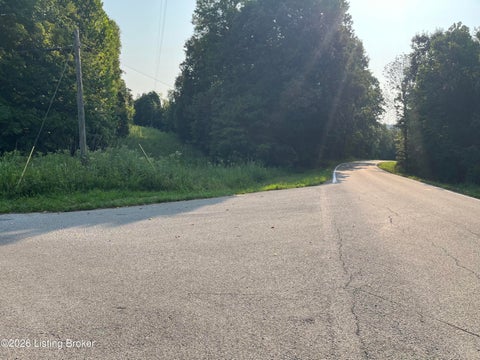 Vacant Land For Sale - 30 Vic Young Rd<br/> Olaton, KY 42361