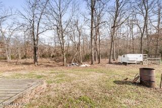 1460 Claggett Rd, Leitchfield, Kentucky image 29