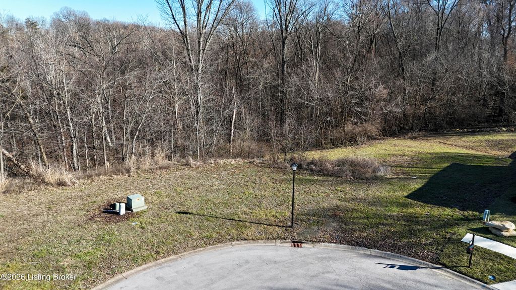 Photo of 6243 Hudson Creek Dr, Louisville, KY 40291 (MLS # 1709725)