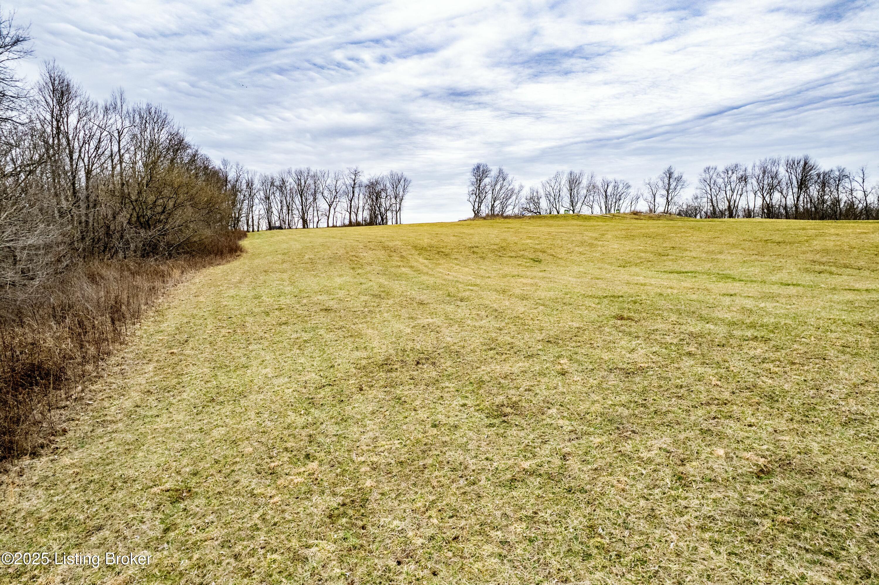 Tract 55 Stallard Springs, Shelbyville, Kentucky image 6