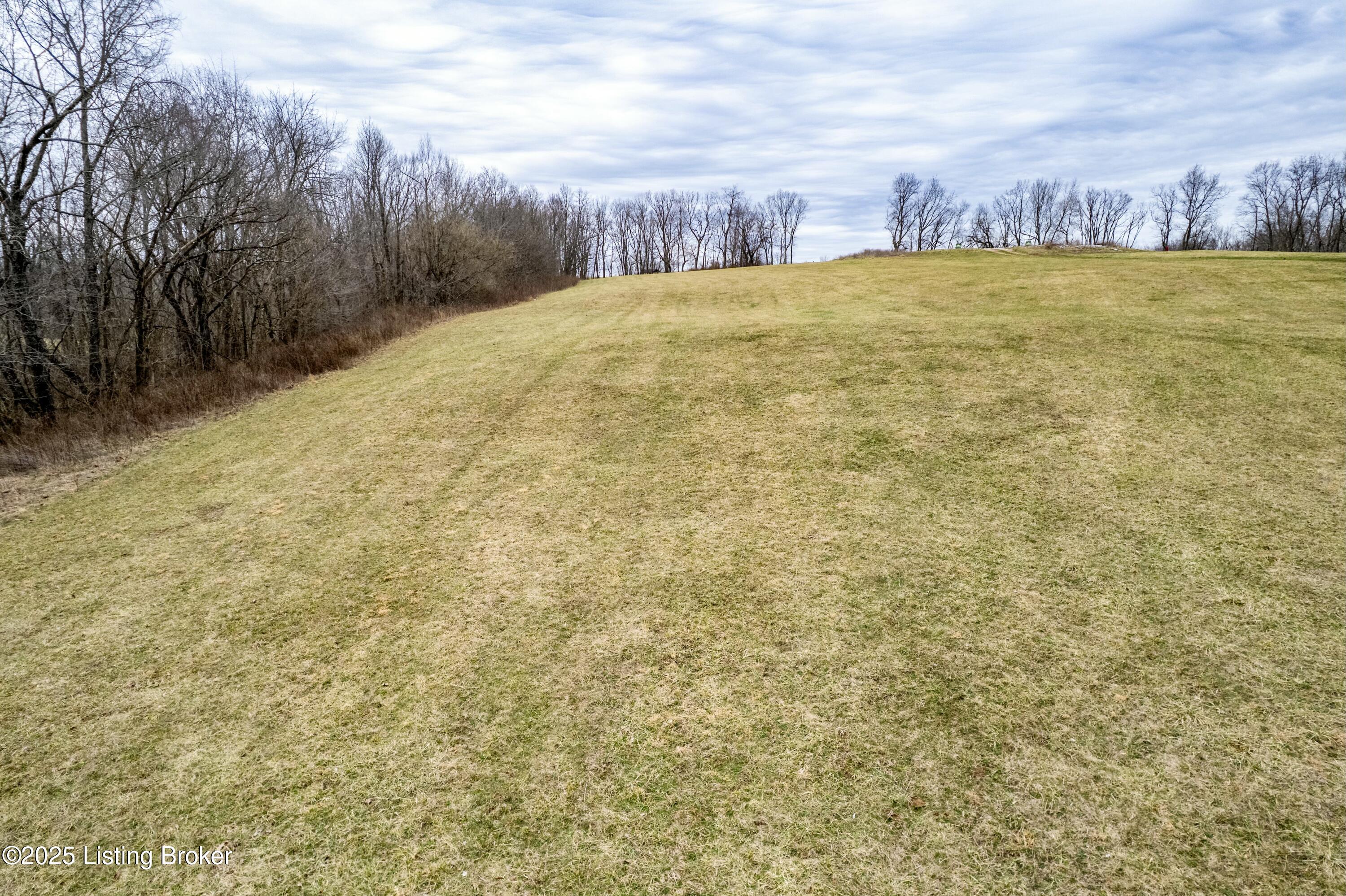 Tract 55 Stallard Springs, Shelbyville, Kentucky image 10