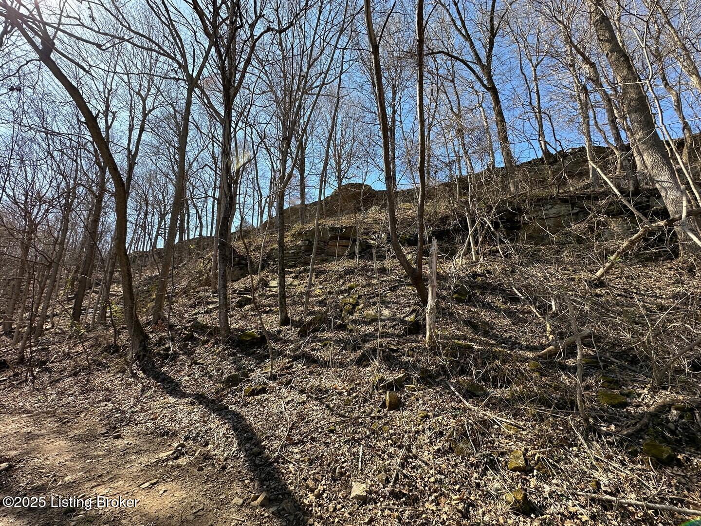 L5 1126 Thomason Cemetery Rd, Leitchfield, Kentucky image 12
