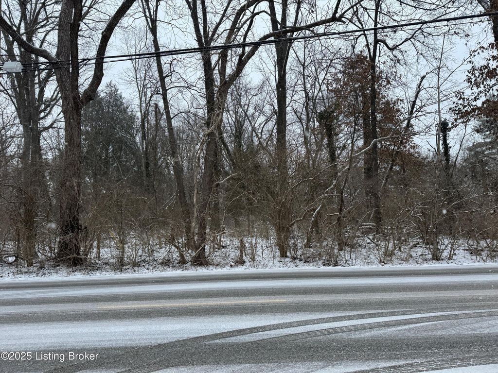 Photo of 1307 Ormsby Ln, Lyndon, KY 40222 (MLS # 1712284)