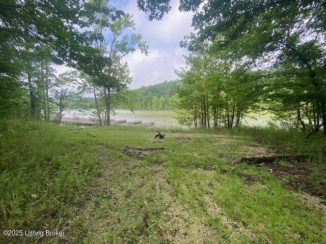 295 Conoloway Bay Dr, Clarkson, Kentucky image 5