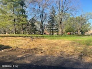 3502 Rock Rose Ln, La Grange, Kentucky image 42