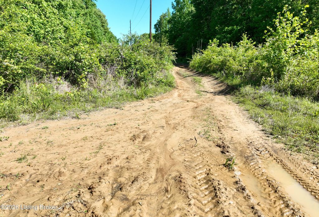 Photo of 1 Ditney Hill Rd, Drakesboro, KY 42337 (MLS # 1716965)