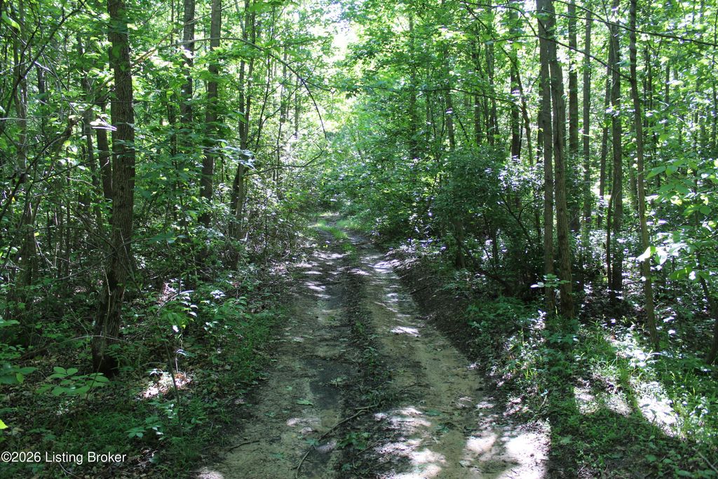 Photo of 1 Ditney Hill Rd, Drakesboro, KY 42337 (MLS # 1716965)