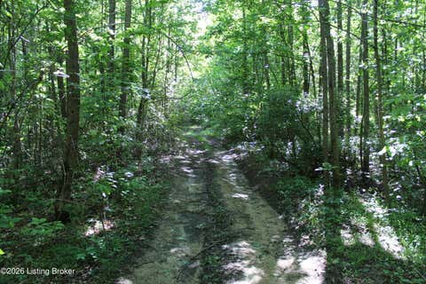 Vacant Land For Sale - 1 Ditney Hill Rd<br/> Muhlenberg County, Drakesboro, KY 42337