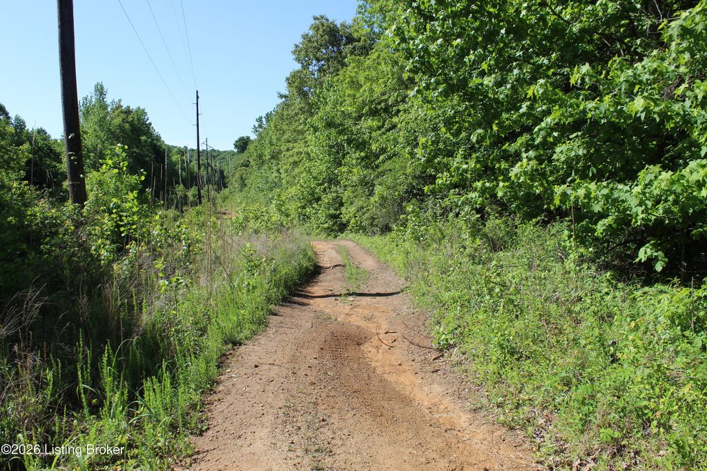 Photo of 1 Ditney Hill Rd, Drakesboro, KY 42337 (MLS # 1716965)