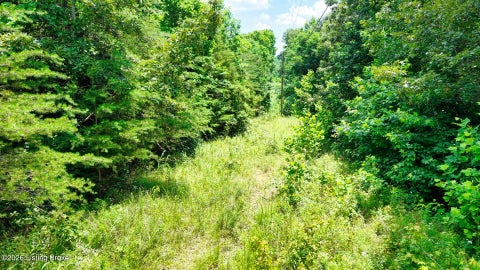 Vacant Land For Sale - 1 Ditney Hill Rd<br/> Drakesboro, KY 42337