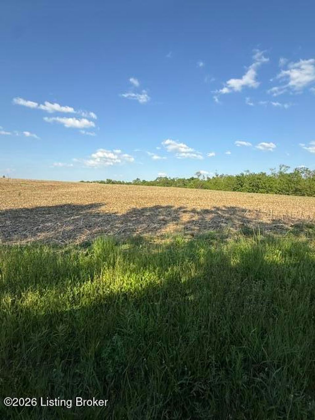 Photo of 569 Scobie Ln, Sulphur, KY 40070 (MLS # 1717802)