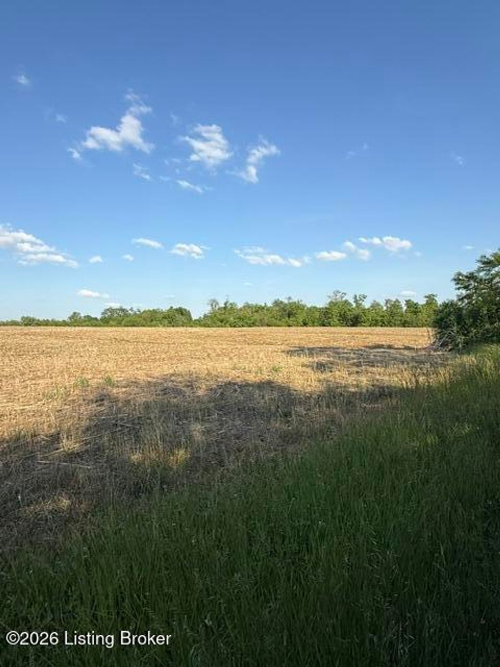 Photo of 569 Scobie Ln, Sulphur, KY 40070 (MLS # 1717802)