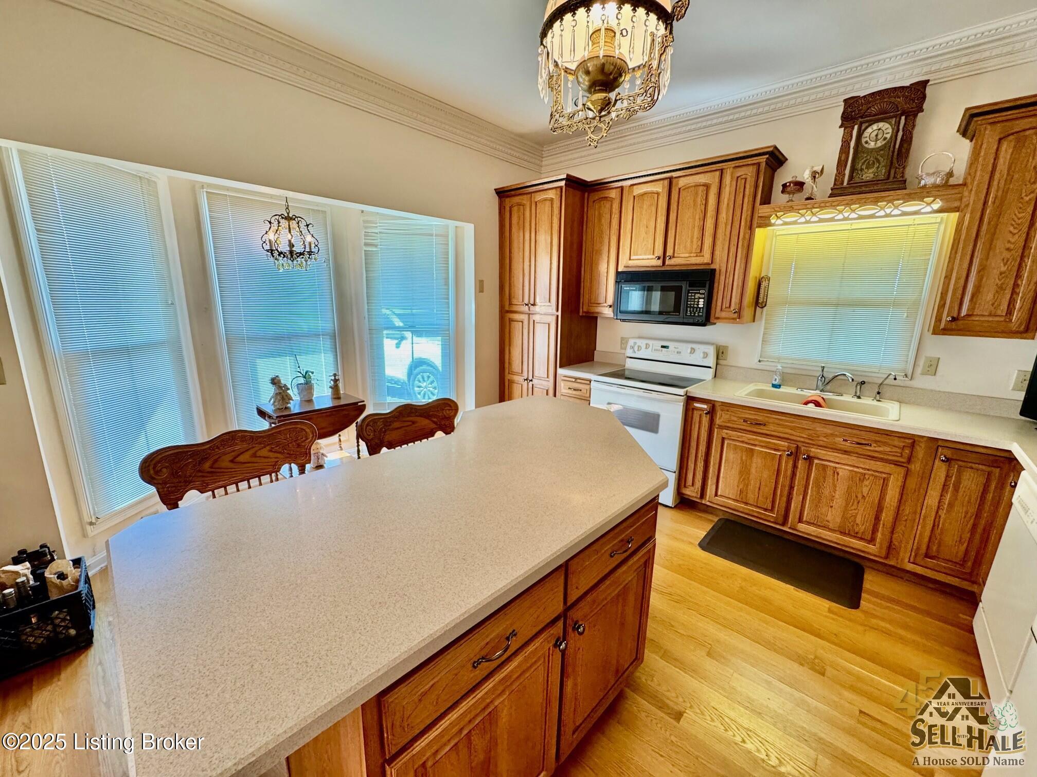 116 Lebanon Hill, Springfield, Pennsylvania image 9
