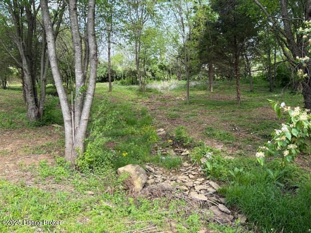2051 Chaplin Taylorville Rd, Bloomfield, Pennsylvania image 11