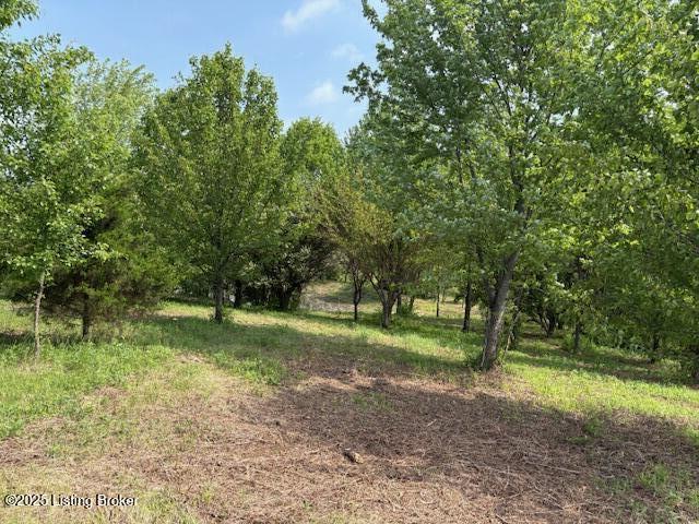 2051 Chaplin Taylorville Rd, Bloomfield, Pennsylvania image 18
