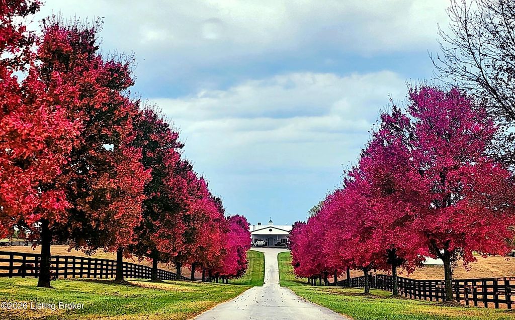 Photo of 3659 Taylorsville Rd, Shelbyville, KY 40065 (MLS # 1708121)