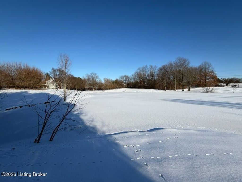 Photo of 1124 Taylor Wood Rd, Simpsonville, KY 40067 (MLS # 1708294)