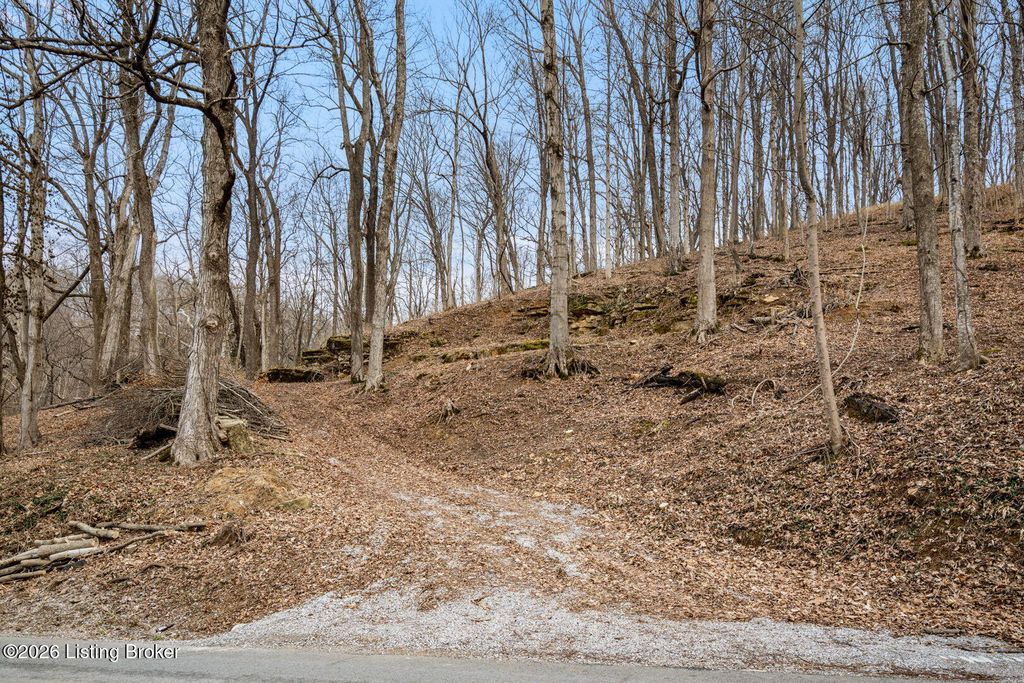Photo of 00 Rose Island Rd, Prospect, KY 40059 (MLS # 1710681)