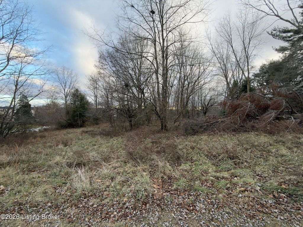 Photo of 410 Wilmoth St, Elizabethtown, KY 42701 (MLS # 1707077)