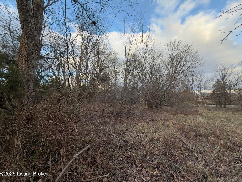 Photo of 410 Wilmoth St, Elizabethtown, KY 42701 (MLS # 1707077)