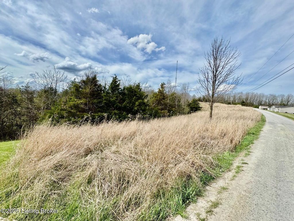 Photo of 14 Mallard Point, Willisburg, KY 40078 (MLS # 1713648)