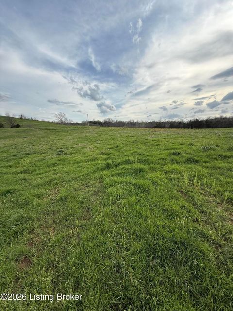 Vacant Land For Sale - 7 S Chowning Ln<br/> Spencer County, Bloomfield, KY 40008
