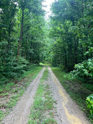 550 WILSON CREEK RD, BOSTON, KY 40107 - Image f35c37ea7a2fe9d0c9184e36d47f487d/479982760