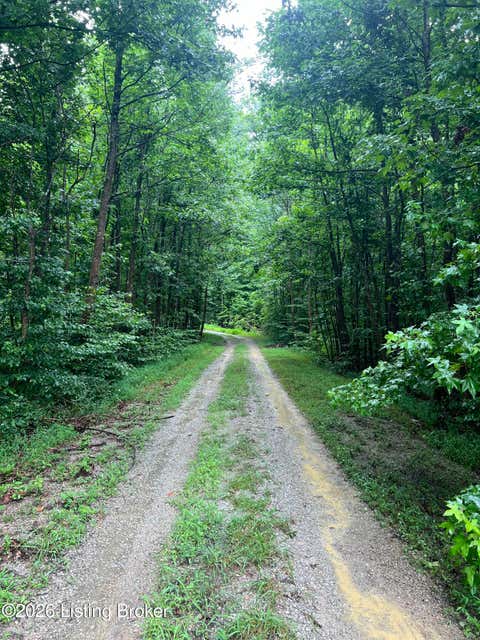 Vacant Land For Sale - 550 Wilson Creek Rd<br/> Boston, KY 40107