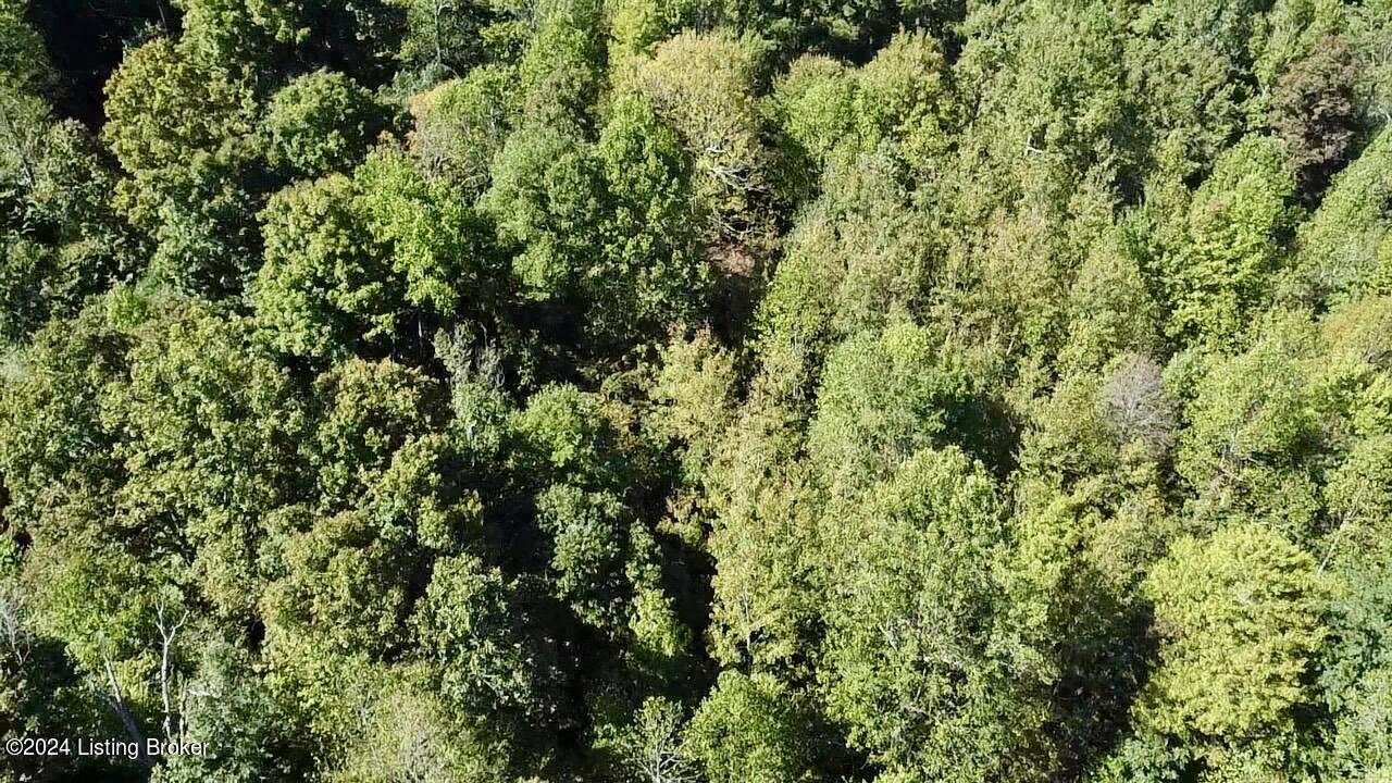 2346 Sulphur Lick Rd, New Hope, Kentucky image 27