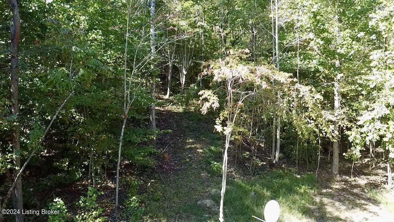 2346 Sulphur Lick Rd, New Hope, Kentucky image 12