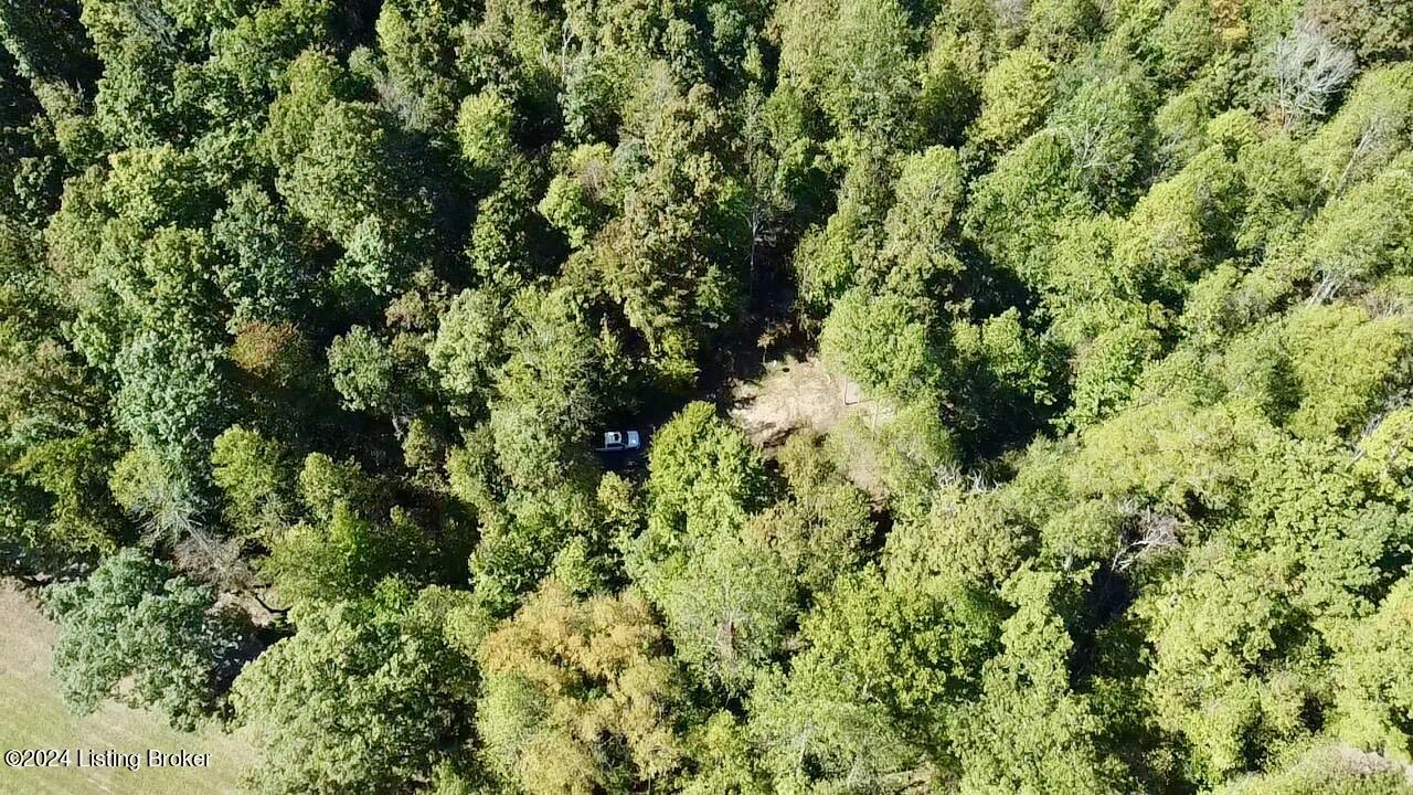 2346 Sulphur Lick Rd, New Hope, Kentucky image 18