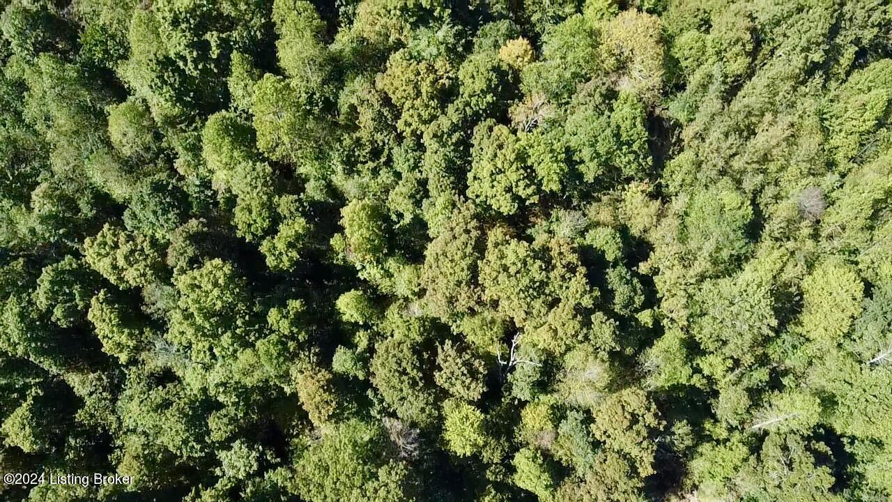 2346 Sulphur Lick Rd, New Hope, Kentucky image 28