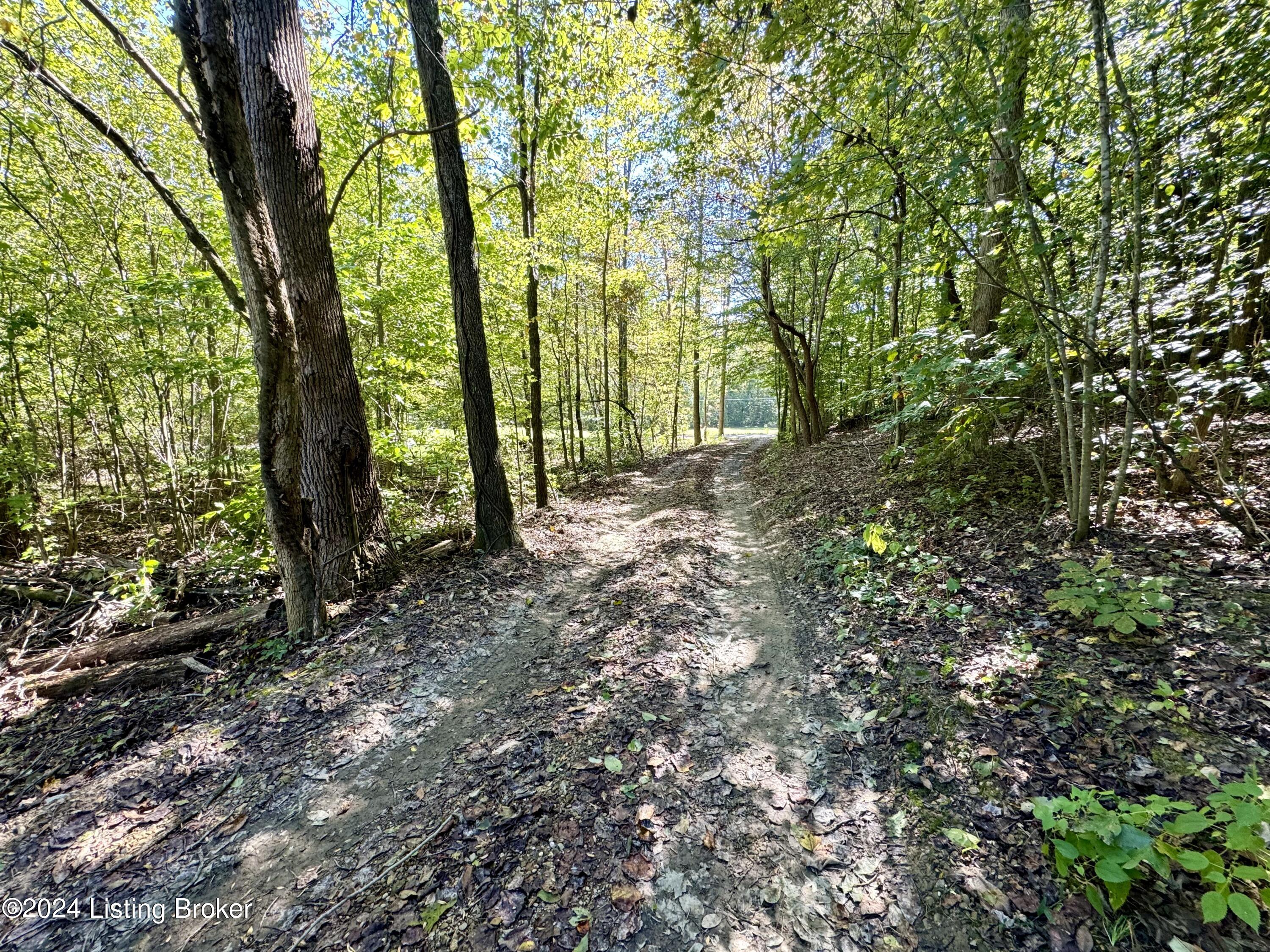 2346 Sulphur Lick Rd, New Hope, Kentucky image 35