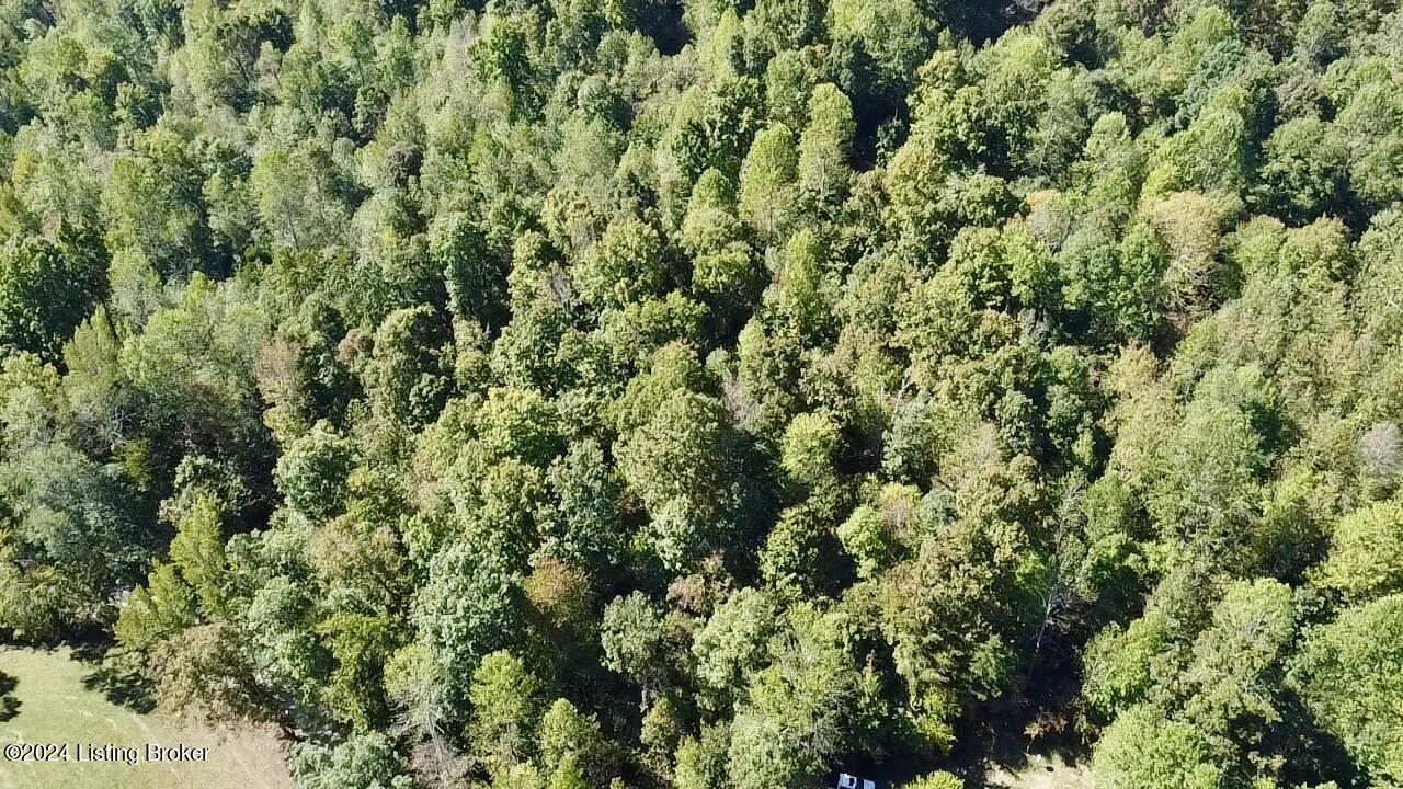 2346 Sulphur Lick Rd, New Hope, Kentucky image 23