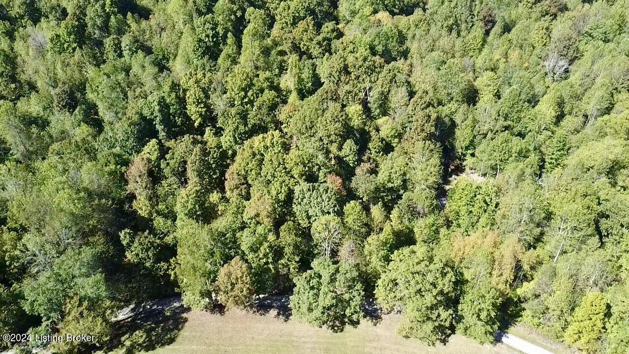 2346 Sulphur Lick Rd, New Hope, Kentucky image 22