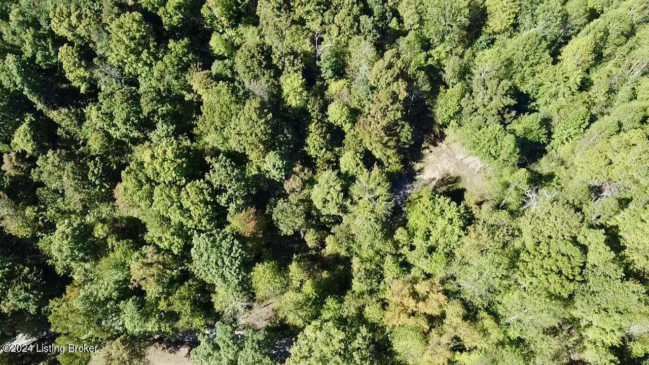 2346 Sulphur Lick Rd, New Hope, Kentucky image 24