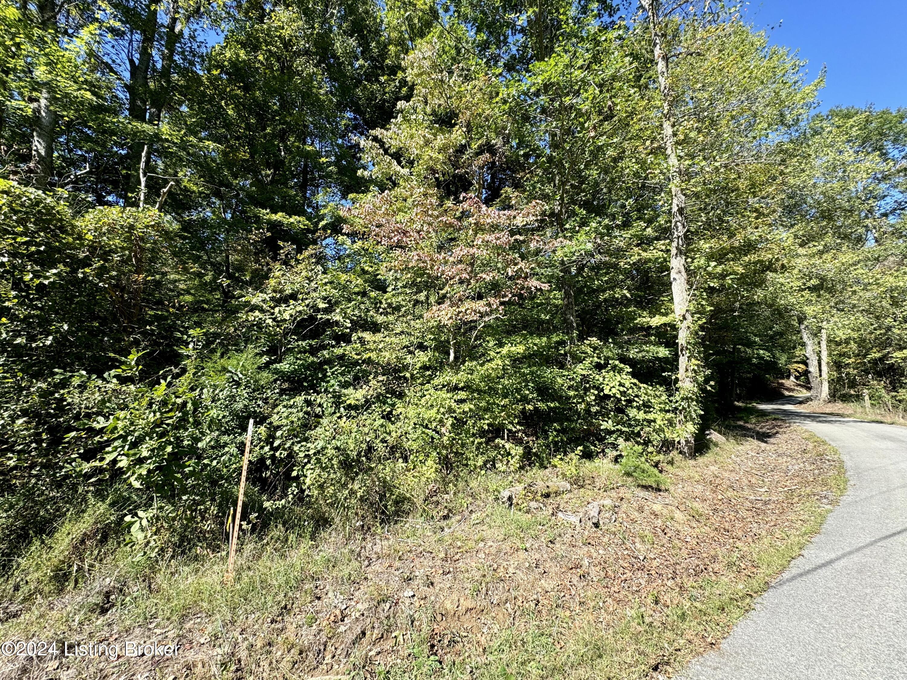 2346 Sulphur Lick Rd, New Hope, Kentucky image 2