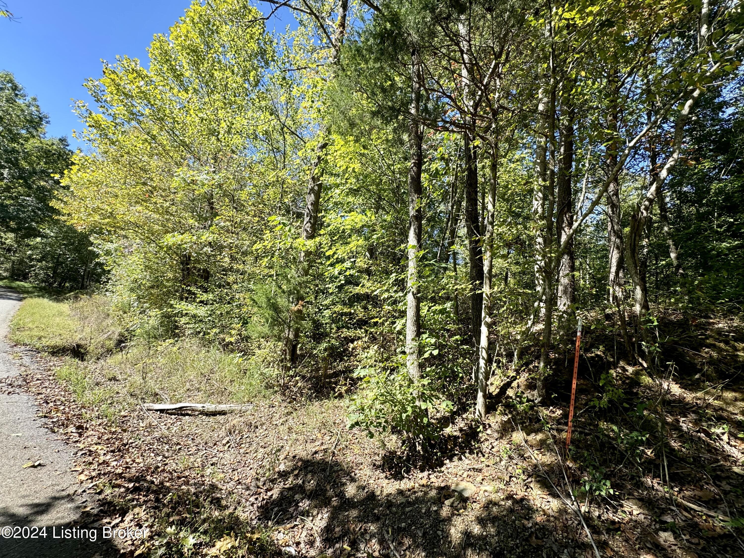2346 Sulphur Lick Rd, New Hope, Kentucky image 5