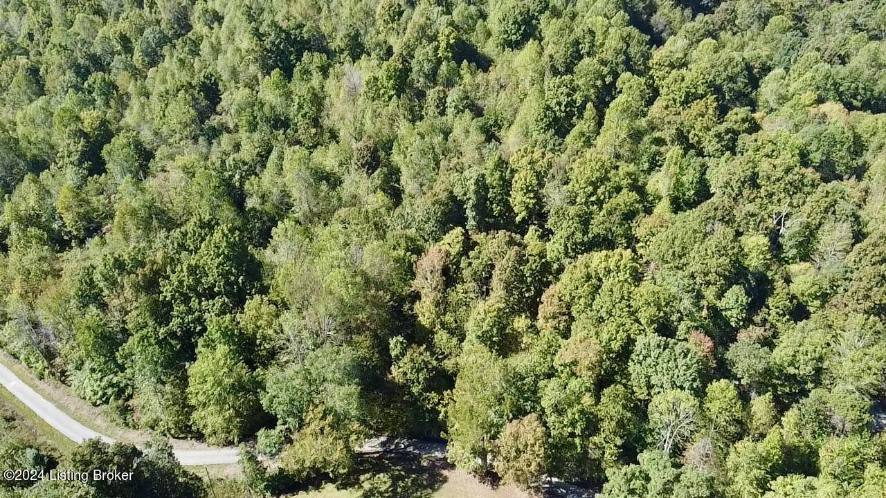 2346 Sulphur Lick Rd, New Hope, Kentucky image 26