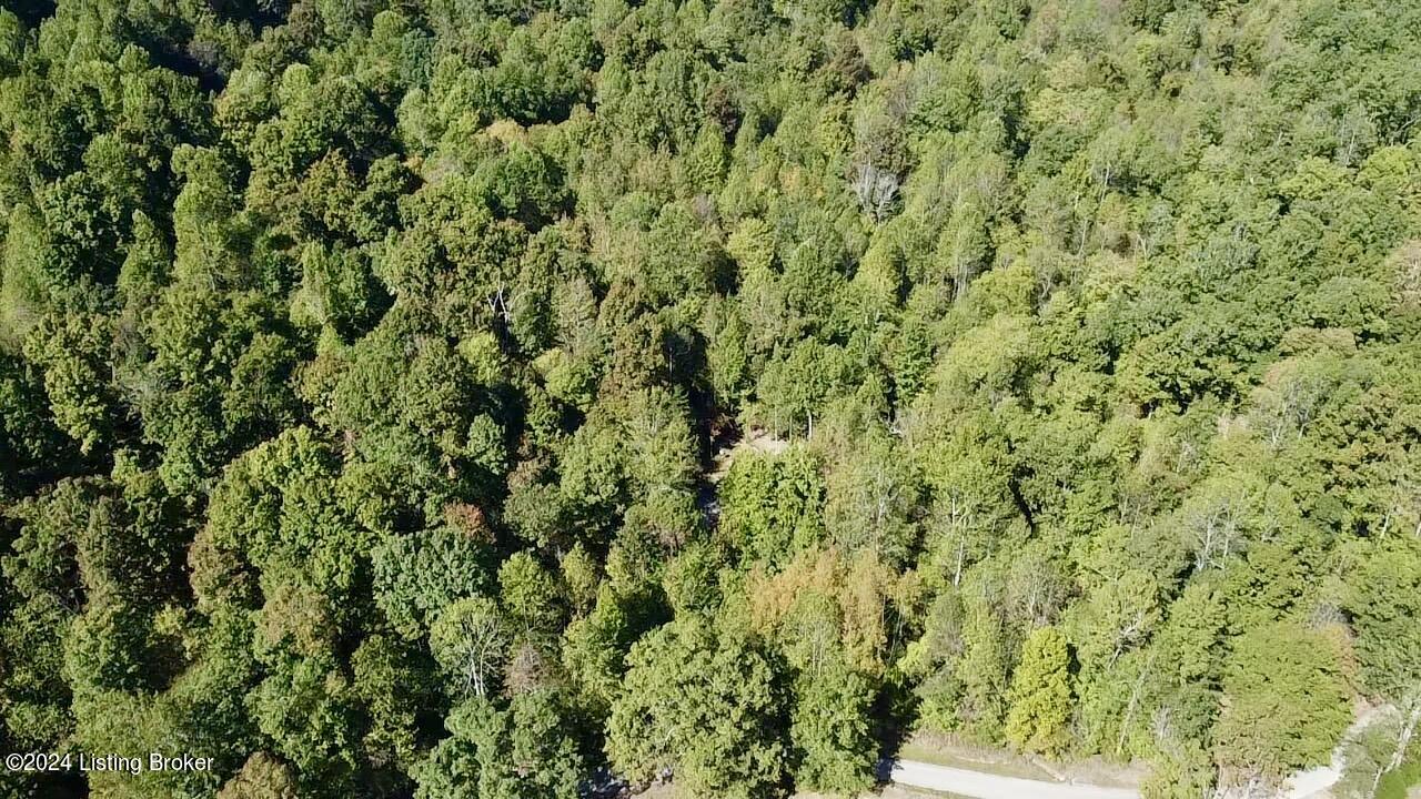 2346 Sulphur Lick Rd, New Hope, Kentucky image 25