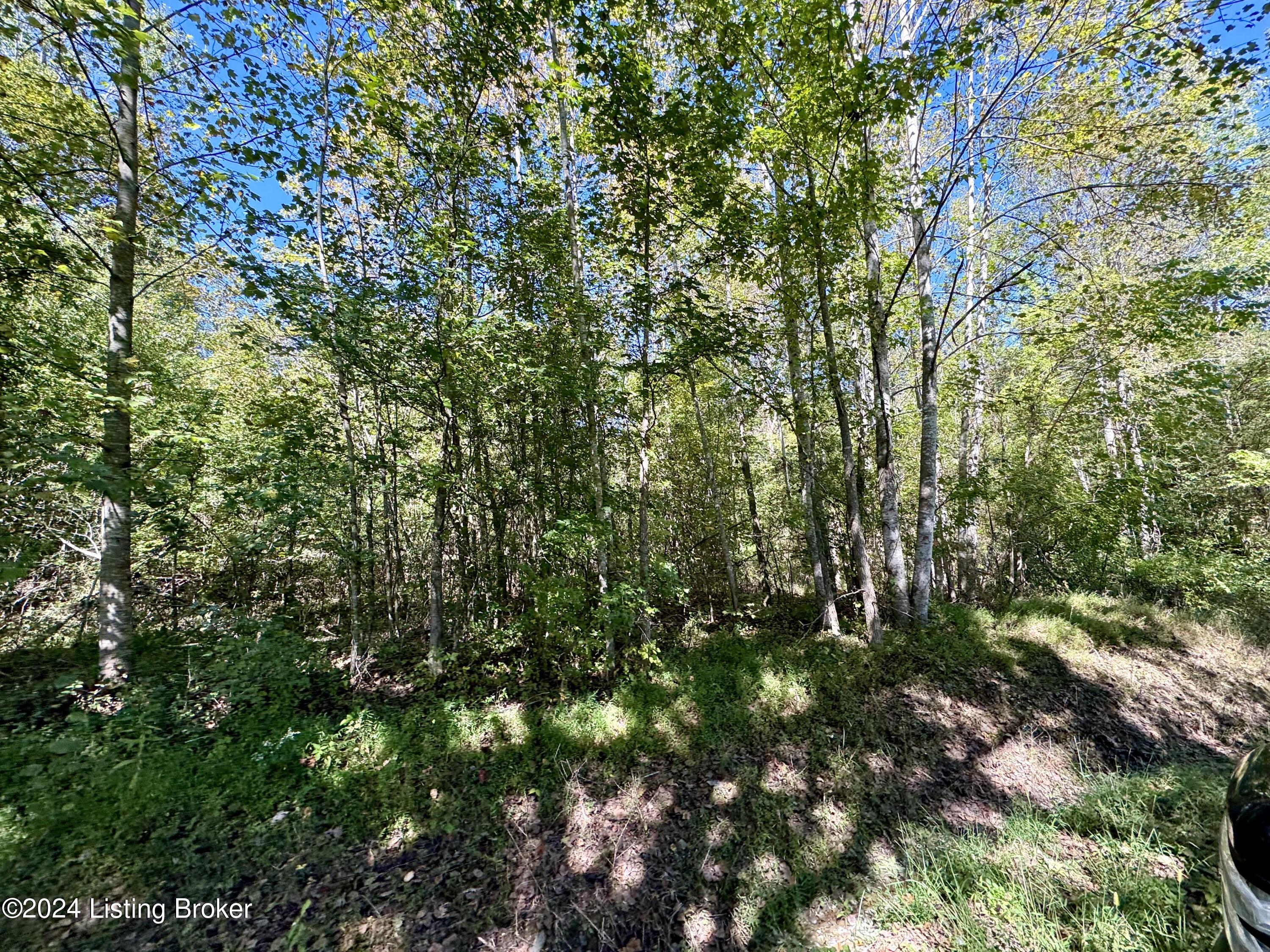 2346 Sulphur Lick Rd, New Hope, Kentucky image 4