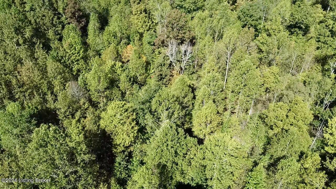 2346 Sulphur Lick Rd, New Hope, Kentucky image 29